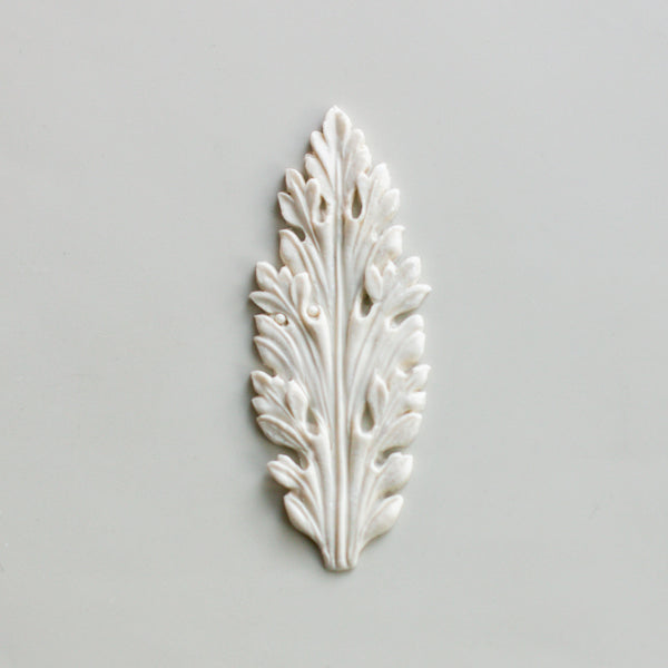 The Acanthus Leaf